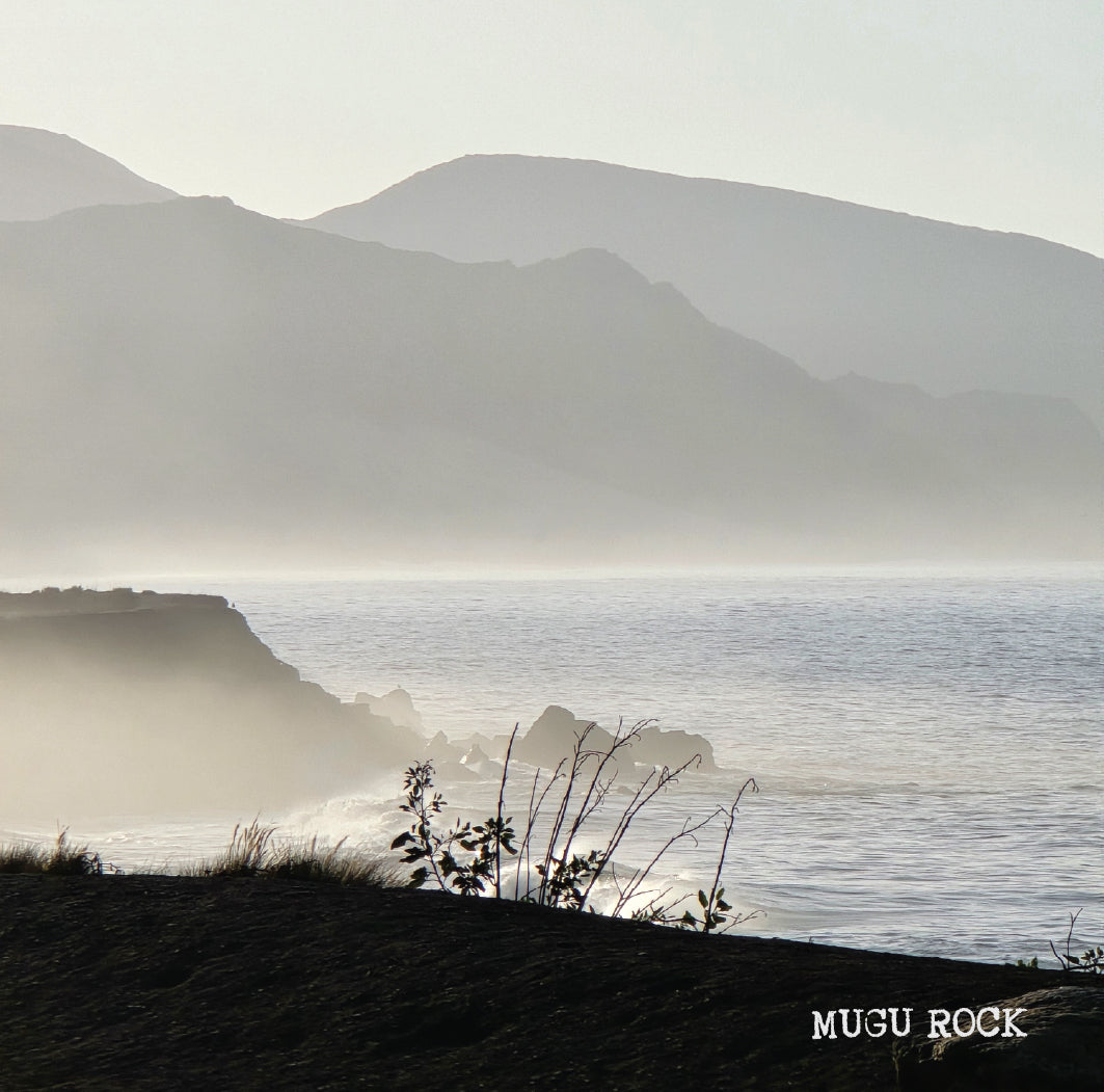 [R] Panama 90+ Eleta Special Anaerobic