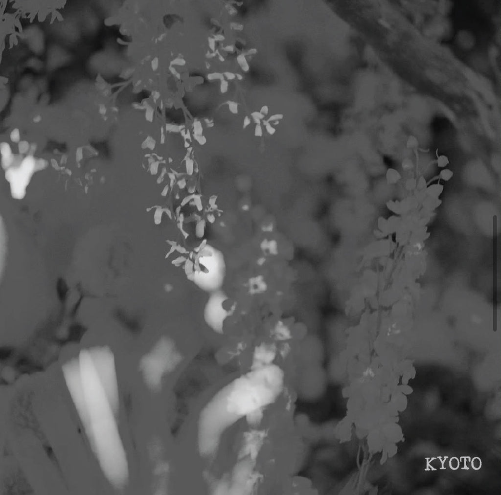 [E]  Ethiopia Alo Mewa Estate Natural