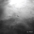 [D]  Ethiopia Alo Mewa Estate Washed