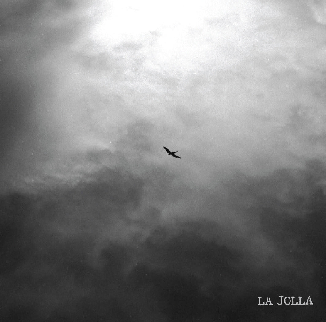 [D]  Ethiopia Alo Mewa Estate Washed