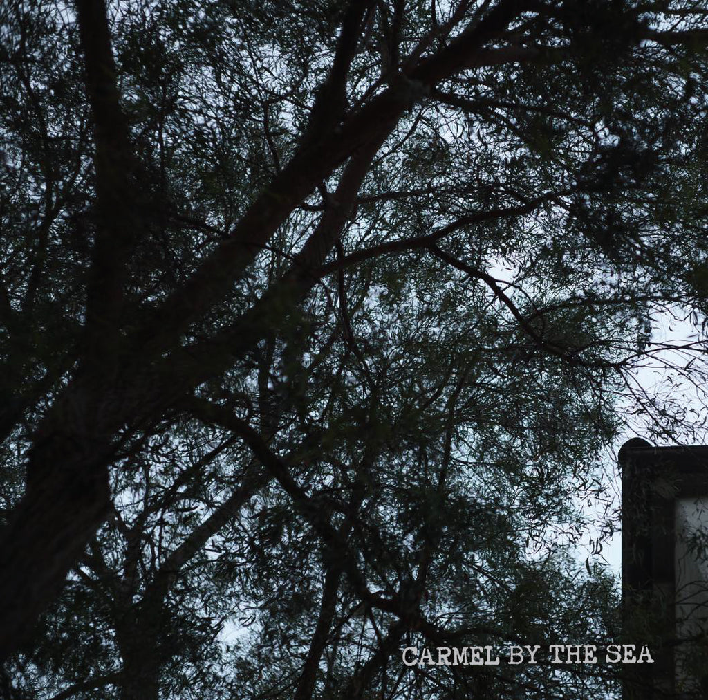 [P] Colombia El Verger Gesha Natural