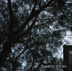 [P] Colombia El Verger Gesha Natural