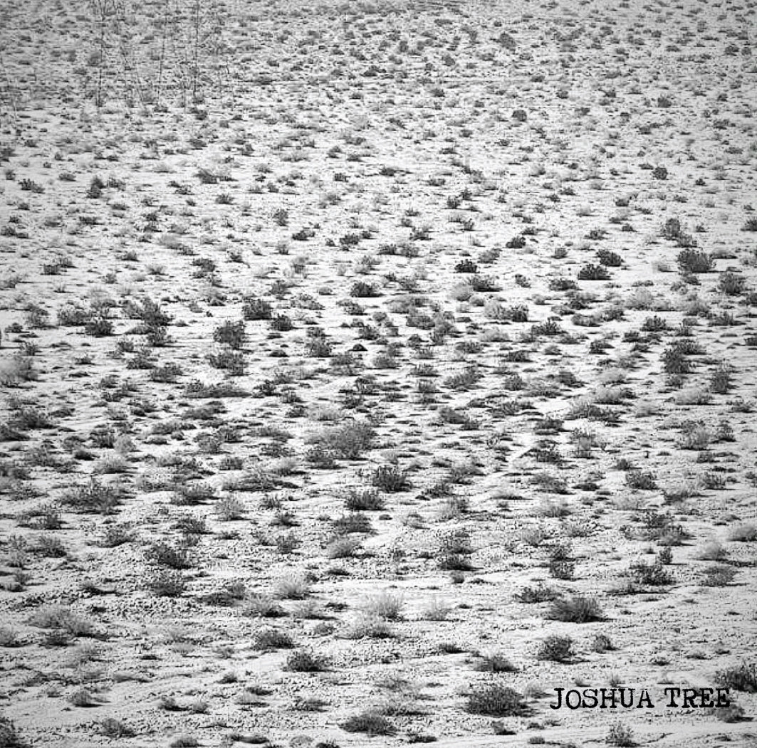 [H]  El Salvador Las Flores Geisha Natural