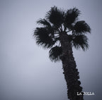 [M]  El Salvador Las Terrazas Washed