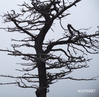 [Q]  Colombia Monteblanco Natural