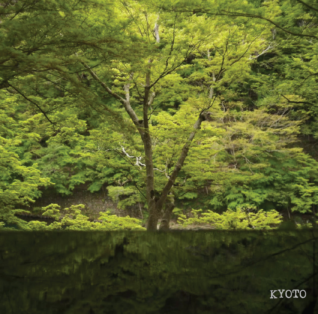 [I]  Colombia El Obraje Washed