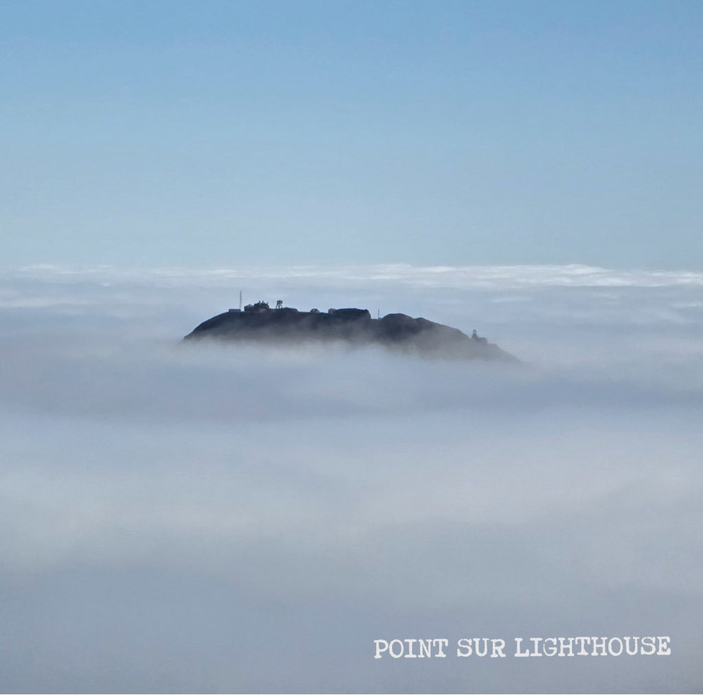 [K]  Colombia Potosi Sidra Diamond Anaerobic Hybrid Natural