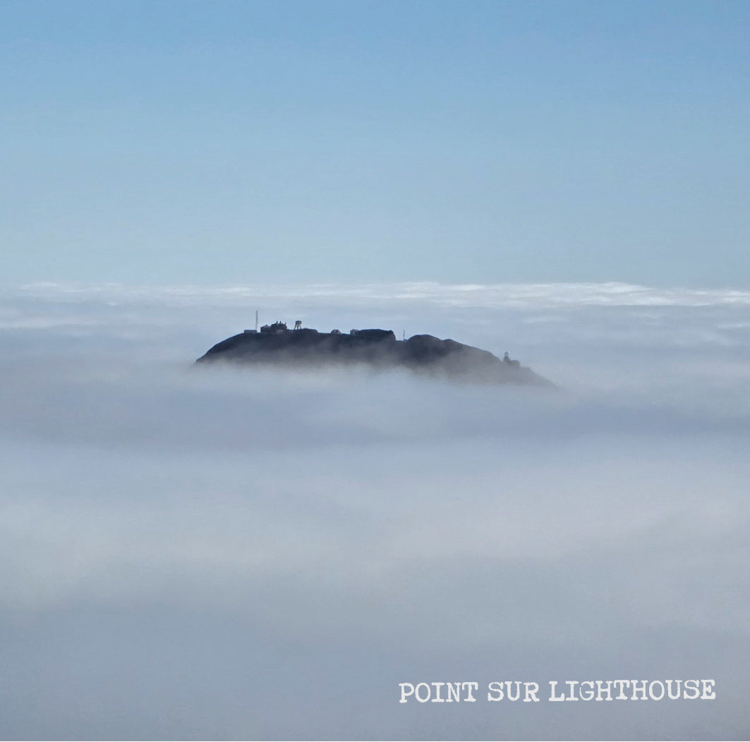 [K]  Colombia Potosi Sidra Diamond Anaerobic Hybrid Natural